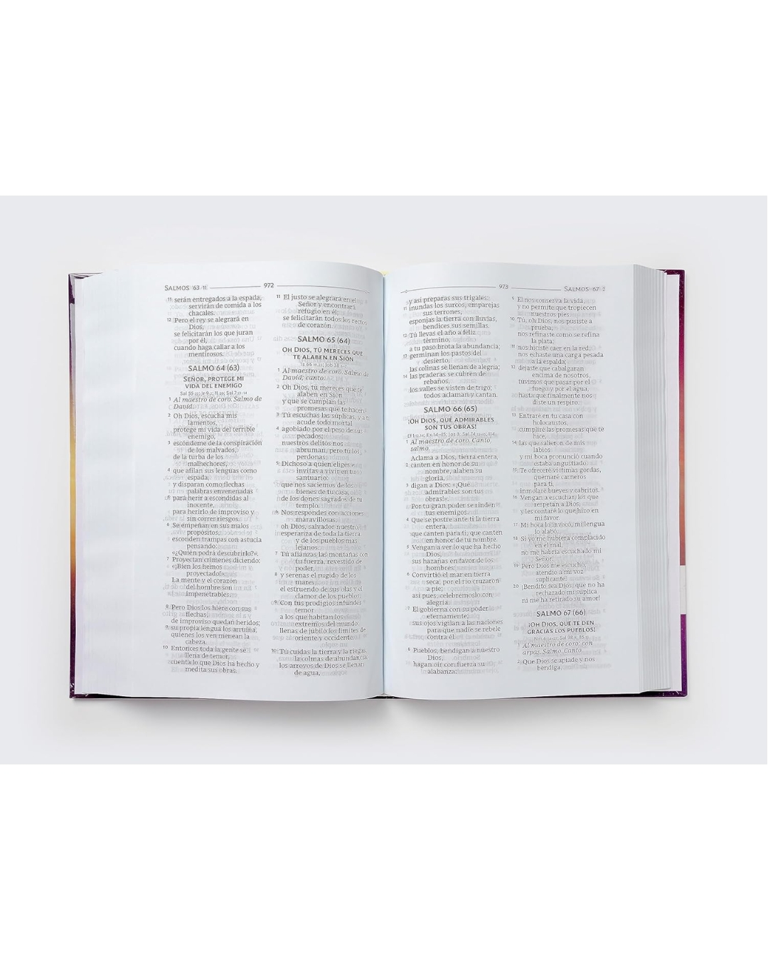 Biblia Católica Biblia de América, Tapa dura - Imagen 2