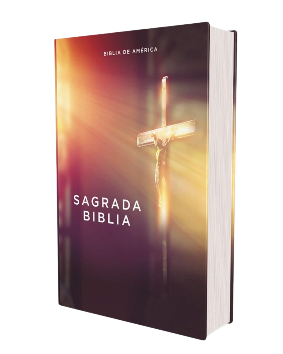 Biblia Católica Biblia de América, Tapa dura