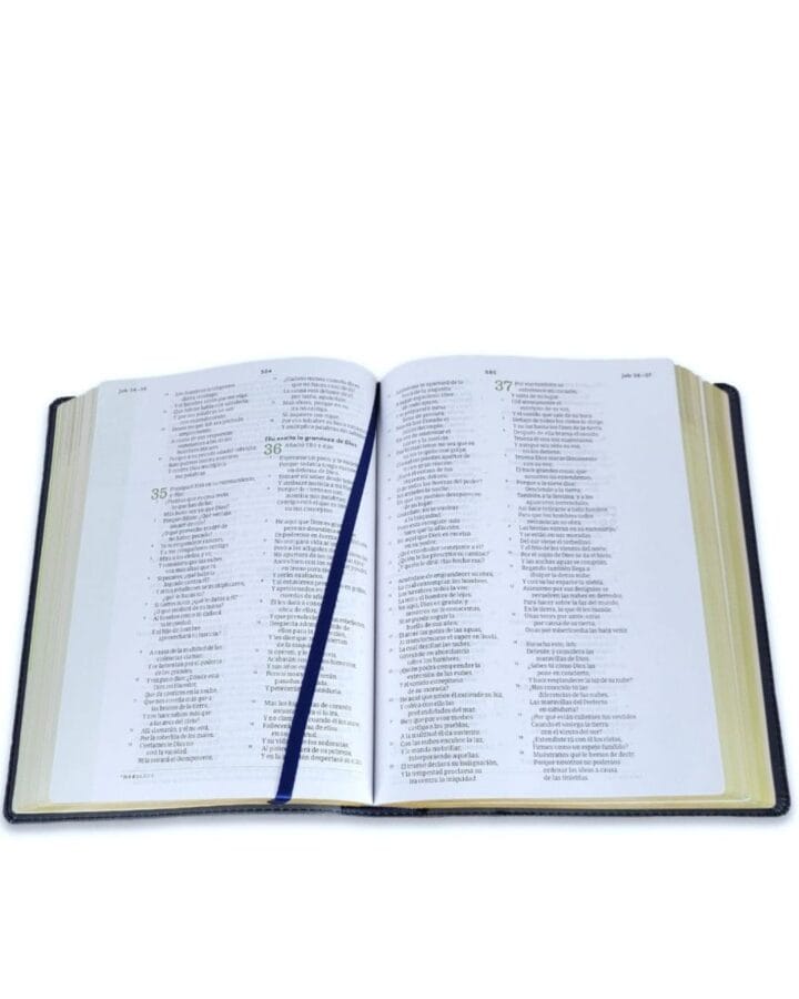 Biblia Consejería para la Vida, Reina Valera 1960, Símil Piel - Imagen 2