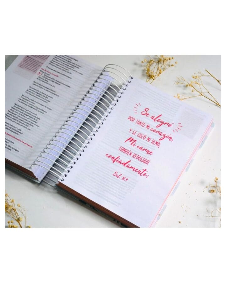 Biblia Crear Reina Valera 1960, Tapa Dura - Imagen 2