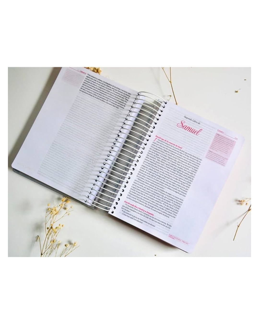 Biblia Crear Reina Valera 1960, Tapa Dura - Imagen 5