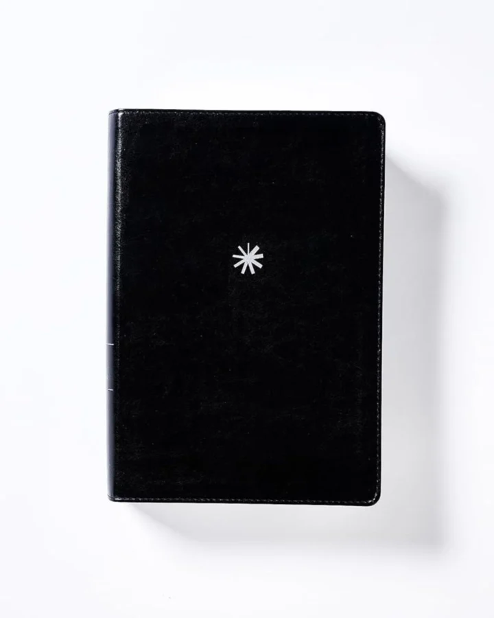 Biblia Cronológica de Estudio, NBLA, Símil Piel, Grande - Imagen 6