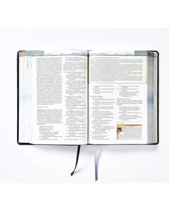 Biblia Cronológica de Estudio, NBLA, Símil Piel, Grande - Imagen 3