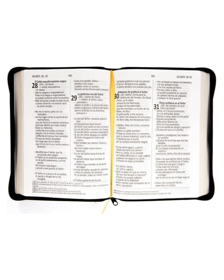 Biblia Dios Habla Hoy, Letra Gigante, Símil Piel, Café con Cierre - Imagen 2