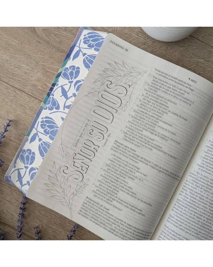 Biblia Inspira Nueva Traducción Viviente, Letra Grande, Símil Piel, Grande - Imagen 4