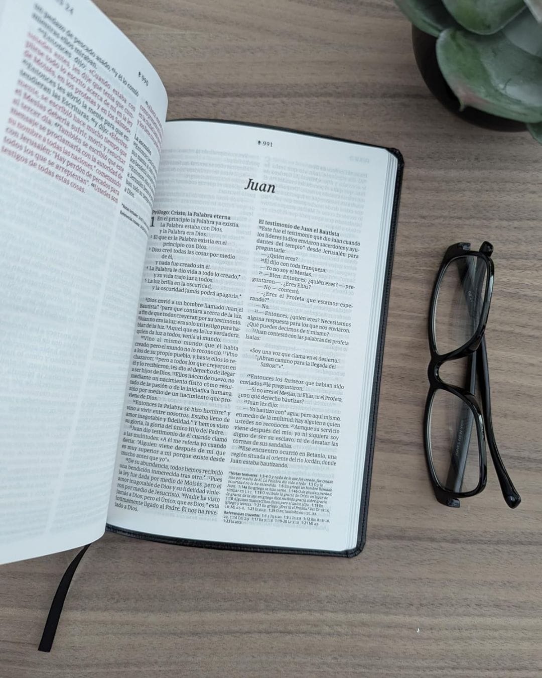 Biblia NTV, Ultrafina, Senti Piel, Manual con Filament - Imagen 4