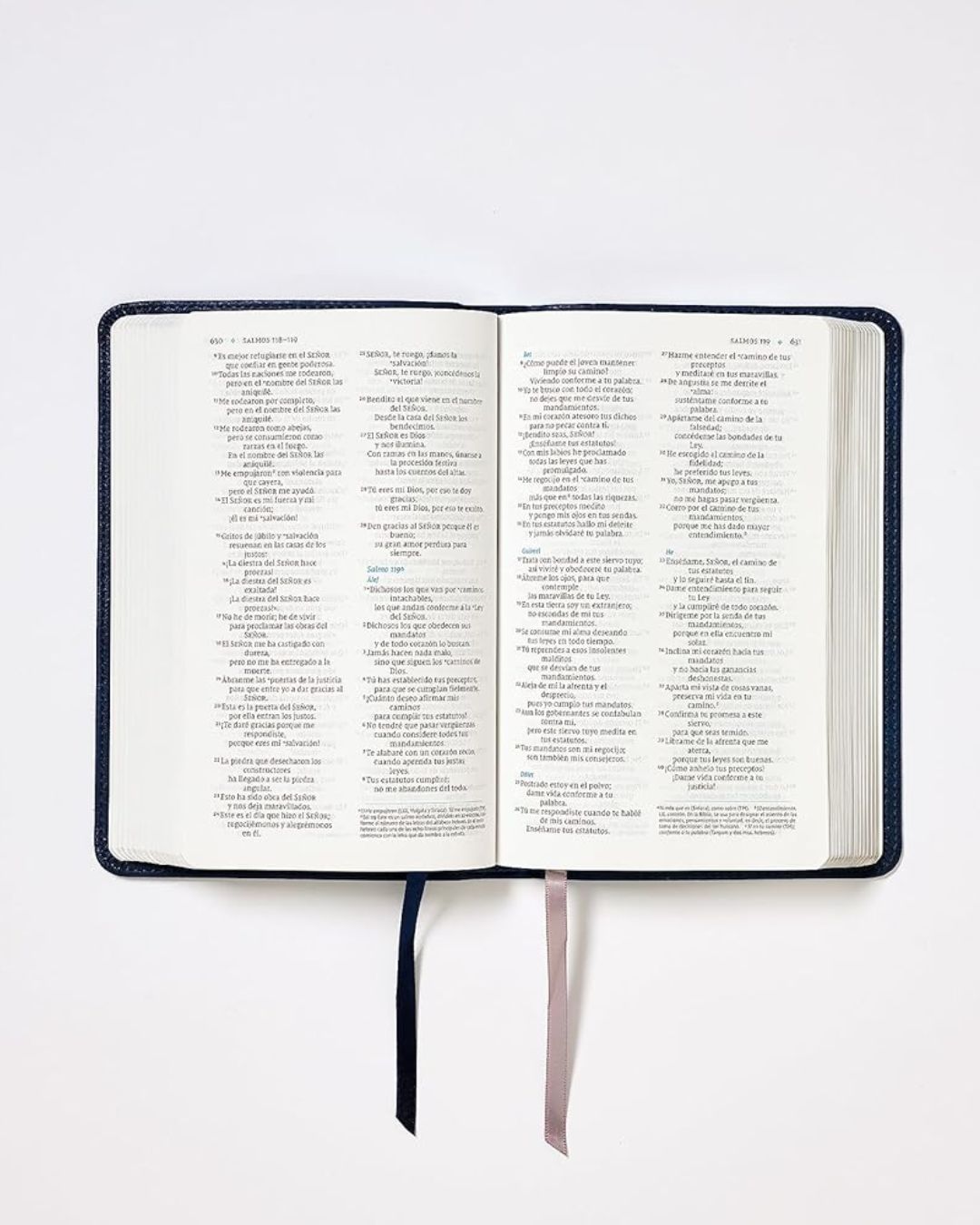 Biblia NVI, Imitación Piel, Pequeña, Azul Marino - Imagen 3