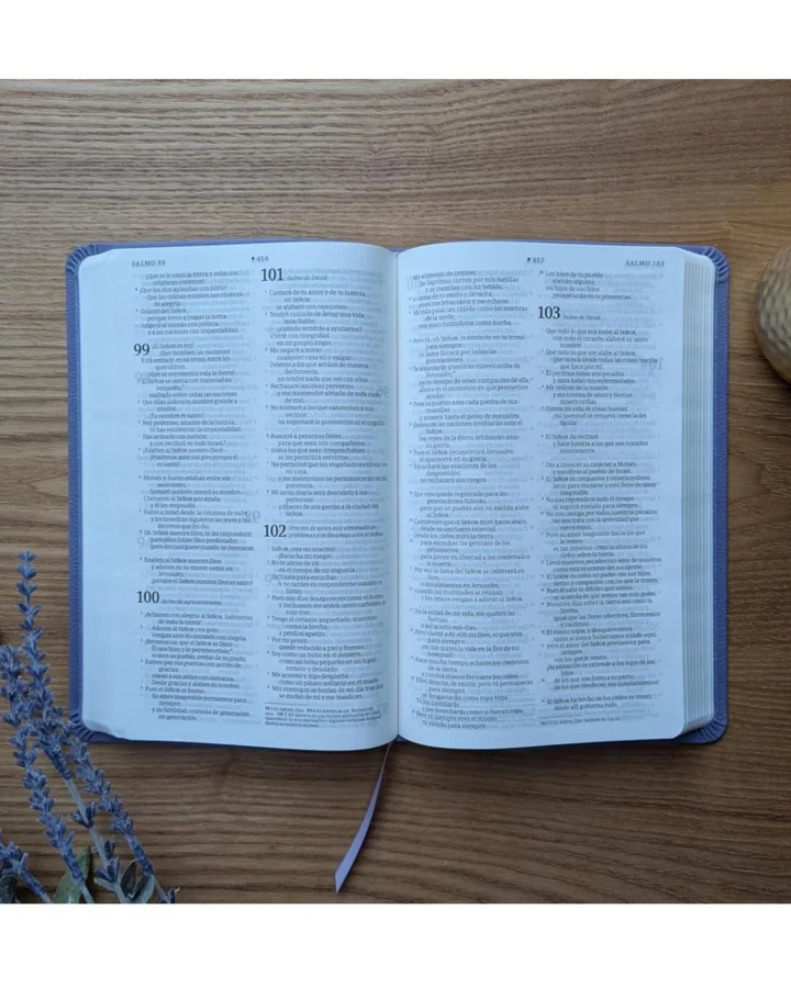 Biblia Nueva Traducción Viviente, Símil Piel, Manual - Imagen 5