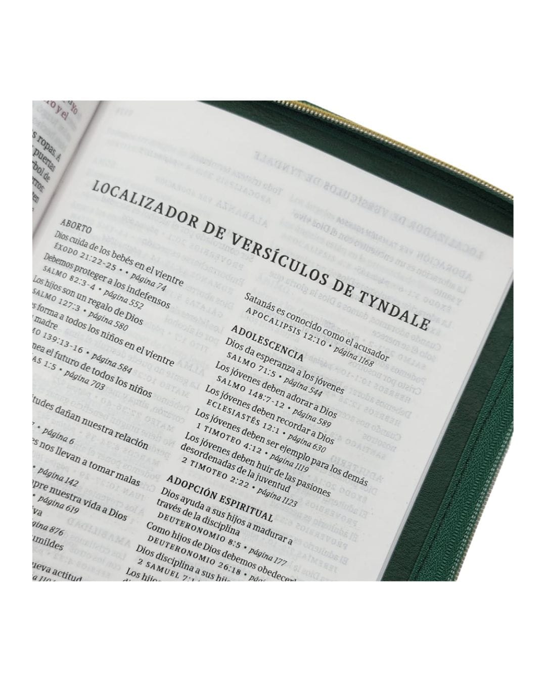 Biblia Nueva Traducción Viviente, Símil Piel, Manual, con Cierre - Imagen 4