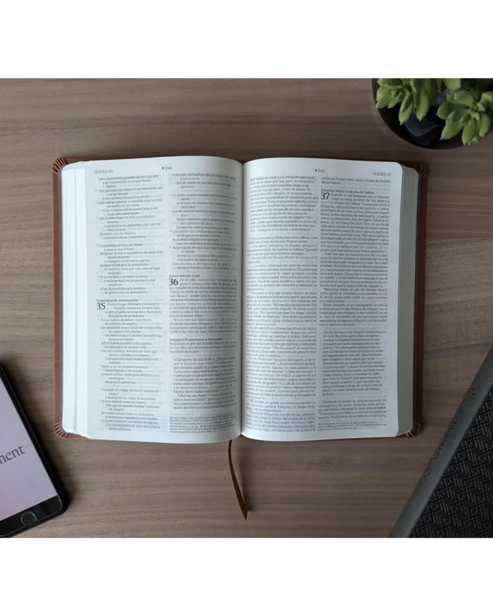 Biblia Nueva Traducción Viviente, Símil Piel, Manual - Imagen 2
