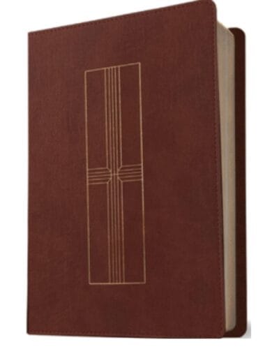 Biblia Nueva Traducción Viviente, Símil Piel, Manual