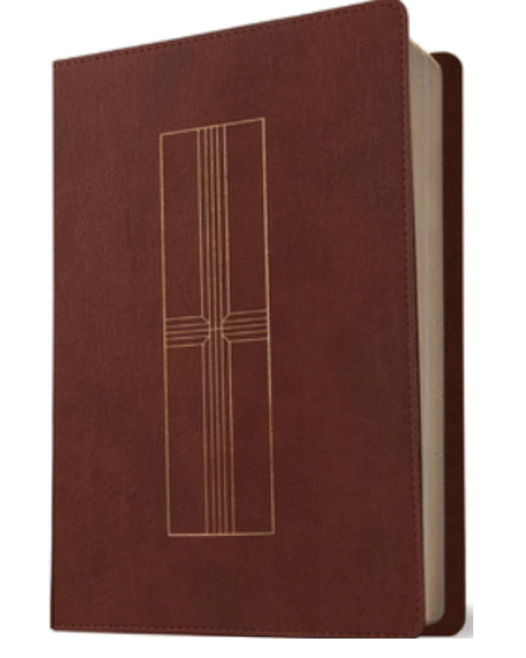 Biblia Nueva Traducción Viviente, Símil Piel, Manual