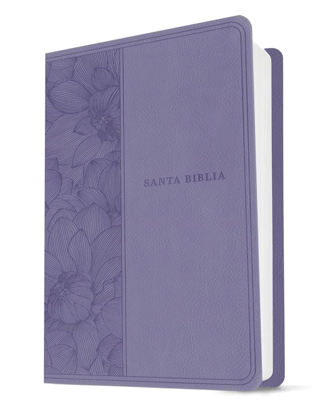 Biblia Nueva Traducción Viviente, Símil Piel, Manual