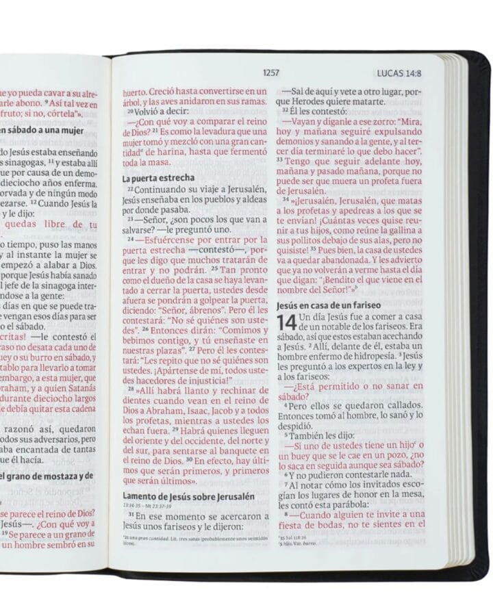 Biblia Nueva Versión Internacional, Letra Gigante, Símil Piel, con Cierre - Imagen 3