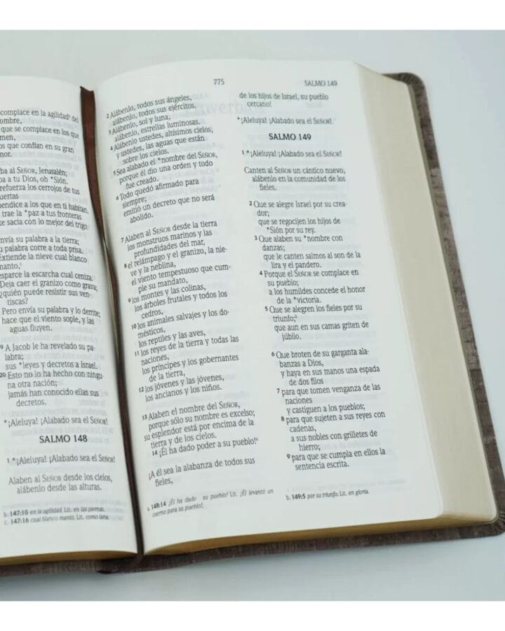 Biblia Nueva Versión Internacional, Letra Grande, Manual - Imagen 4