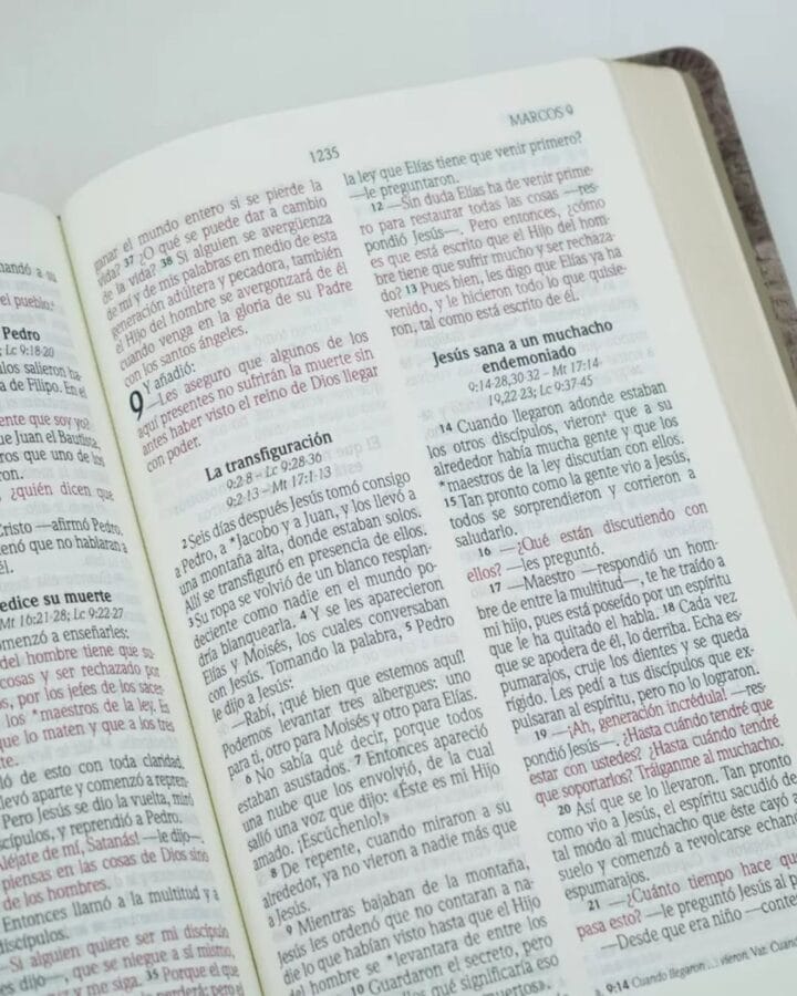 Biblia Nueva Versión Internacional, Letra Grande, Manual - Imagen 3