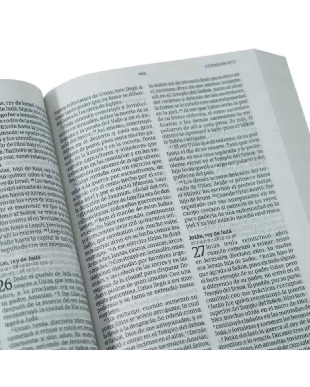 Biblia Nueva Versión Internacional, Letra Grande, Manual - Imagen 3