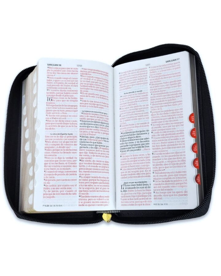 Biblia Reina Valera 1960, Chequera, Símil piel, con cierre e Índice - Imagen 2