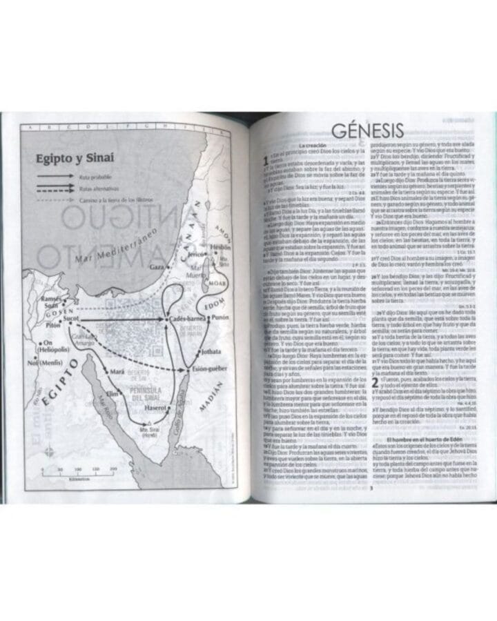 Biblia Reina Valera 1960, Imitación Piel, Manual - Imagen 3