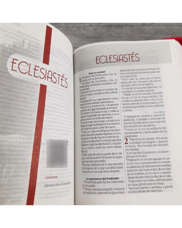 Biblia Reina Valera 1960, Imitación Piel, Pequeña, con Cierre - Imagen 5