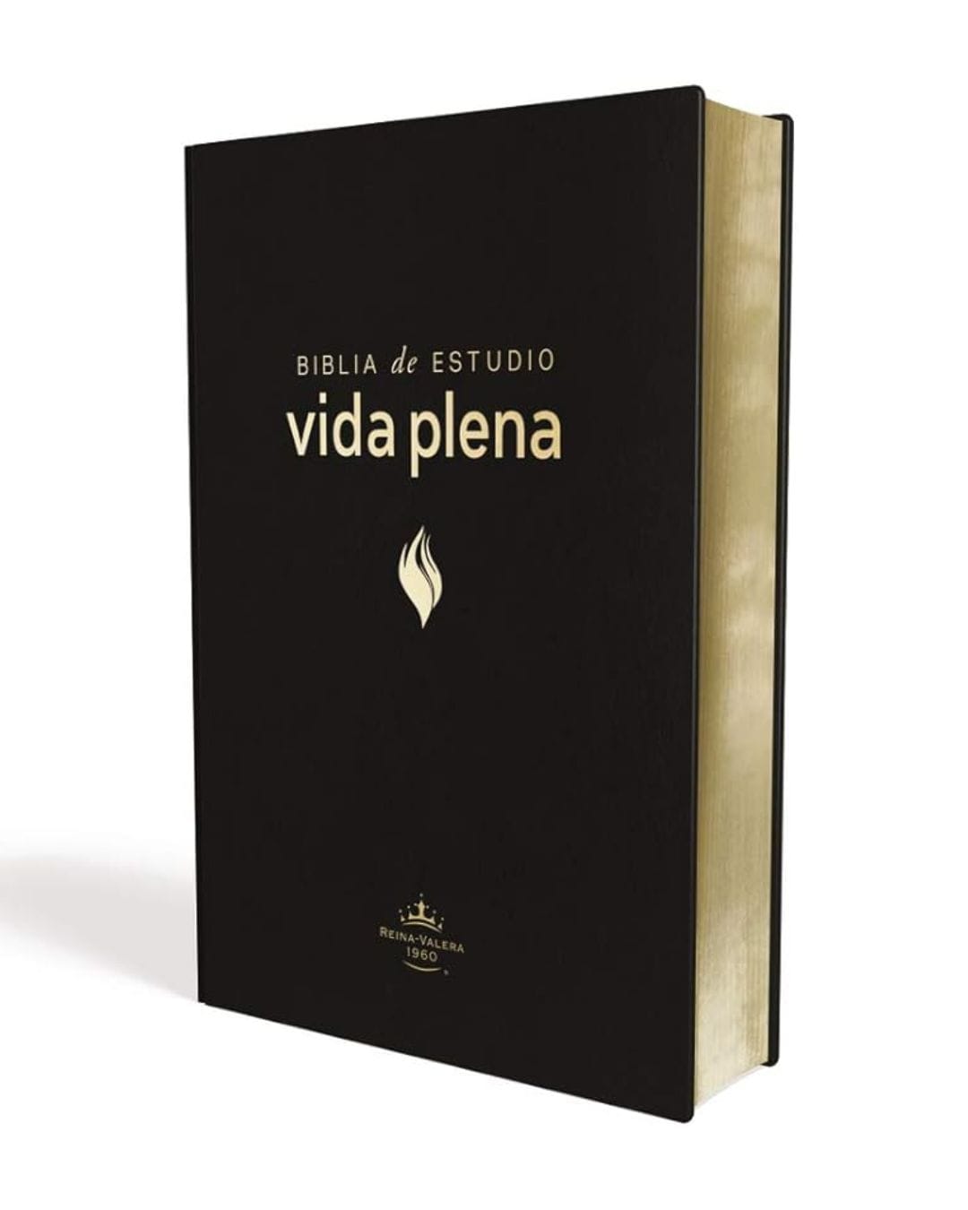 Biblia Reina Valera 1960, Imitación Piel