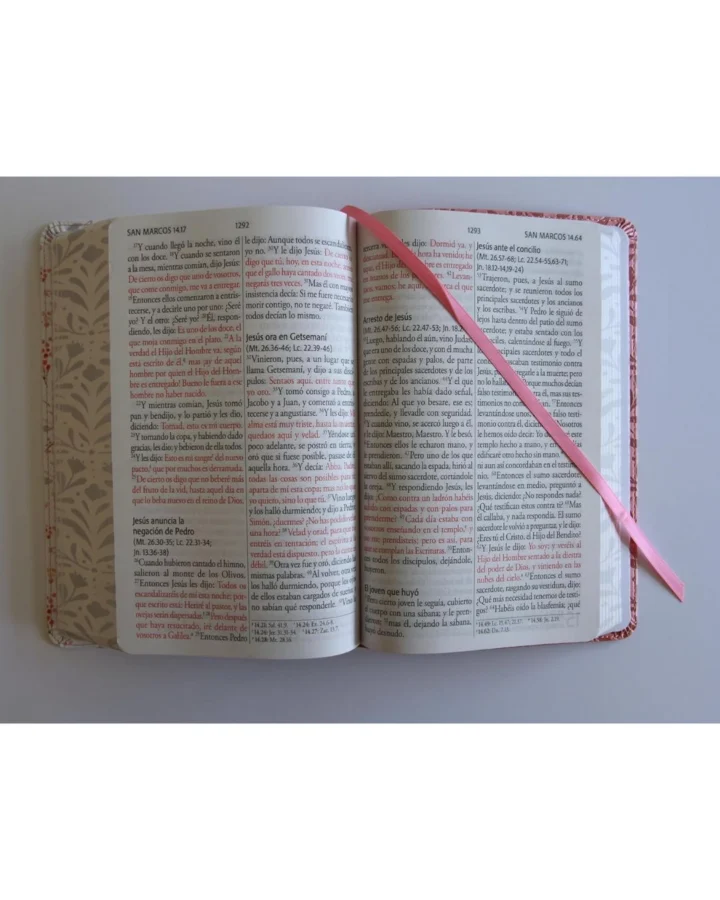 Biblia Reina Valera 1960, Letra Gigante, Imitación Piel, Grande - Imagen 2