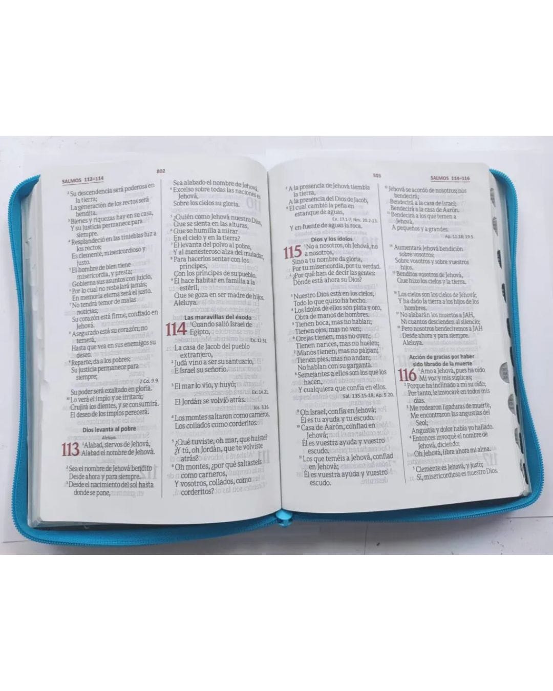 Biblia Reina Valera 1960, Letra Gigante, Imitación Piel, Verde con Cierre e Índice - Imagen 2