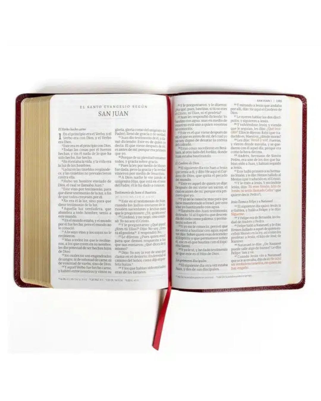 Biblia Reina Valera 1960, Letra Gigante, Imitación Piel, con Referencias - Imagen 2