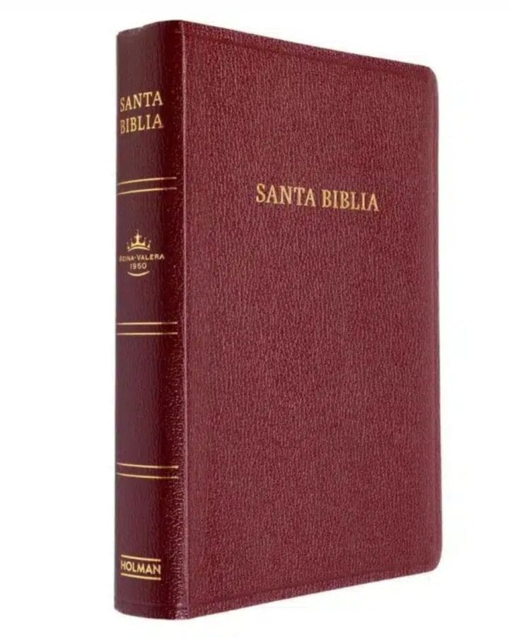 Biblia Reina Valera 1960, Letra Gigante, Imitación Piel, con Referencias