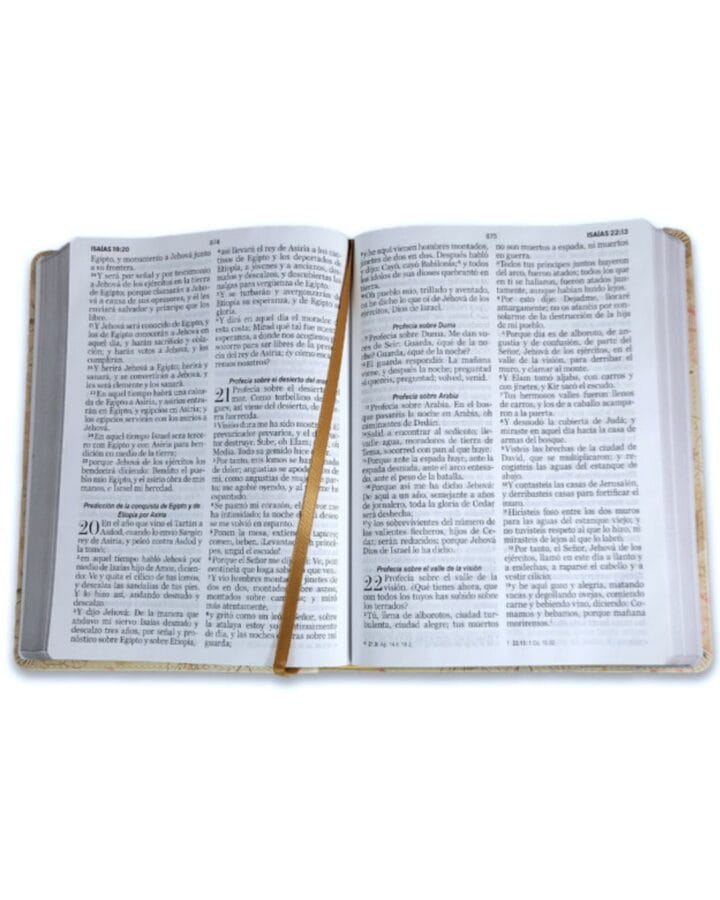 Biblia Reina Valera 1960, Letra Gigante, Símil Piel - Imagen 2