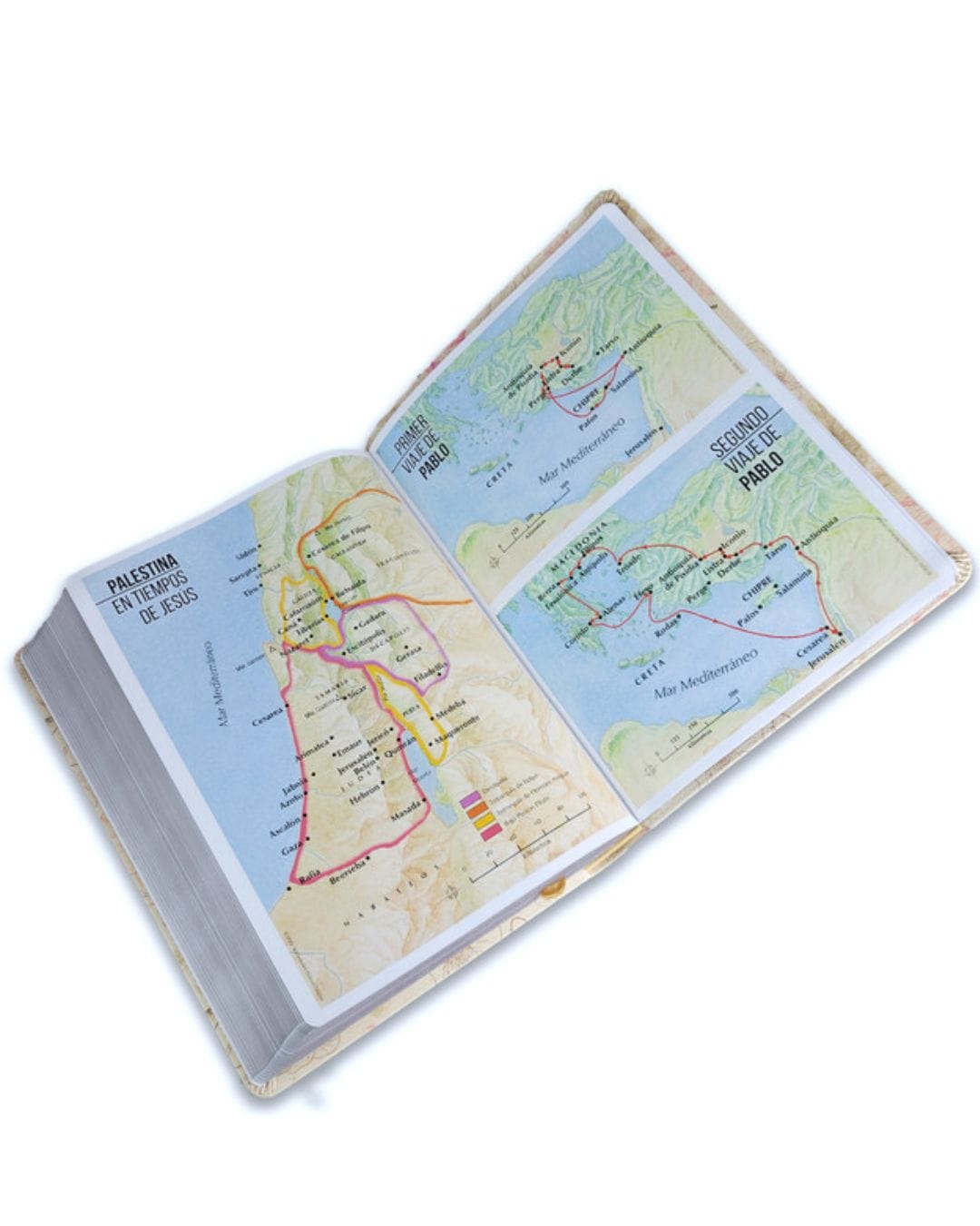 Biblia Reina Valera 1960, Letra Gigante, Símil Piel - Imagen 4