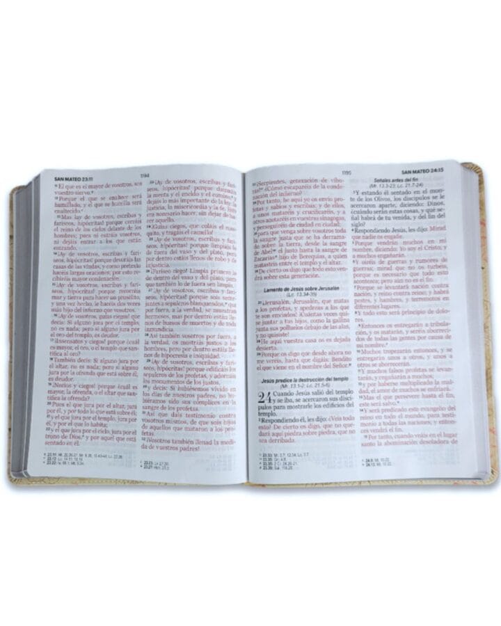 Biblia Reina Valera 1960, Letra Gigante, Símil Piel - Imagen 3