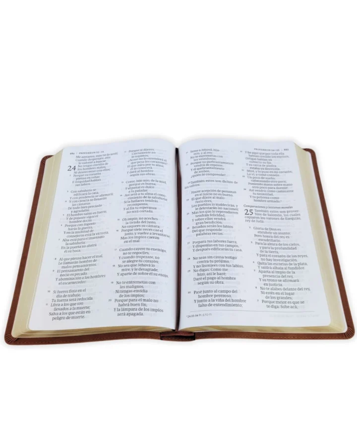 Biblia Reina Valera 1960, Letra Gigante, Símil Piel, Grande - Imagen 4