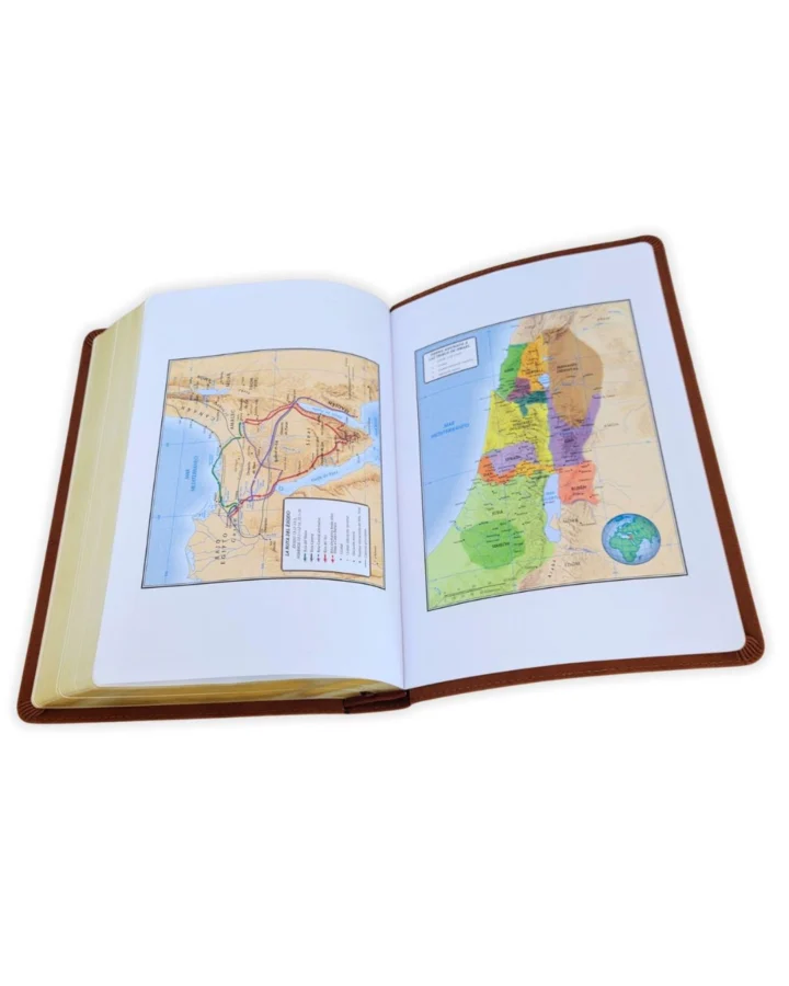 Biblia Reina Valera 1960, Letra Gigante, Símil Piel, Grande - Imagen 3