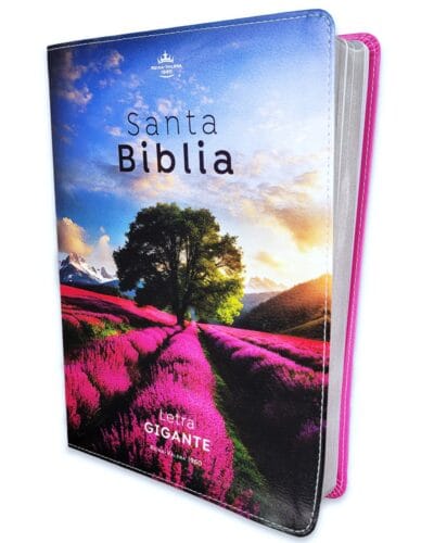 Biblia Reina Valera 1960, Letra Gigante, Símil Piel