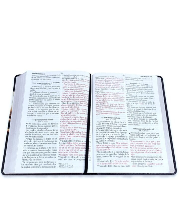Biblia Reina Valera 1960, Letra Gigante, Símil Piel - Imagen 2