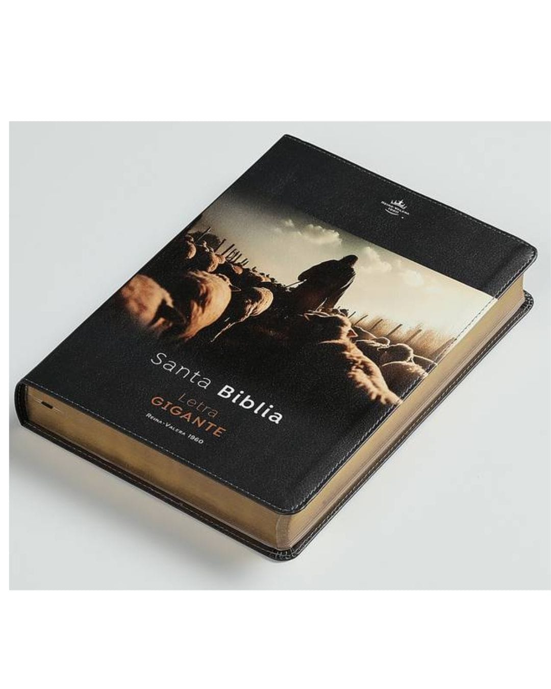 Biblia Reina Valera 1960, Letra Gigante, Símil Piel - Imagen 3