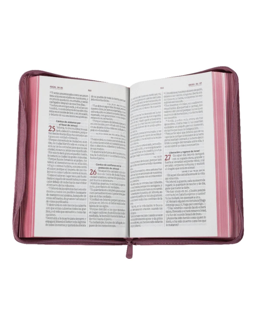 Biblia Reina Valera 1960, Letra Grande, Imitación Piel, Manual, con Cierre - Imagen 2