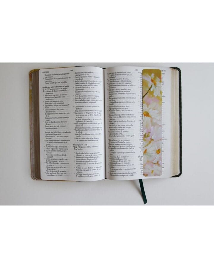 Biblia Reina Valera 1960, Letra Grande, Imitación piel, Manual - Imagen 3