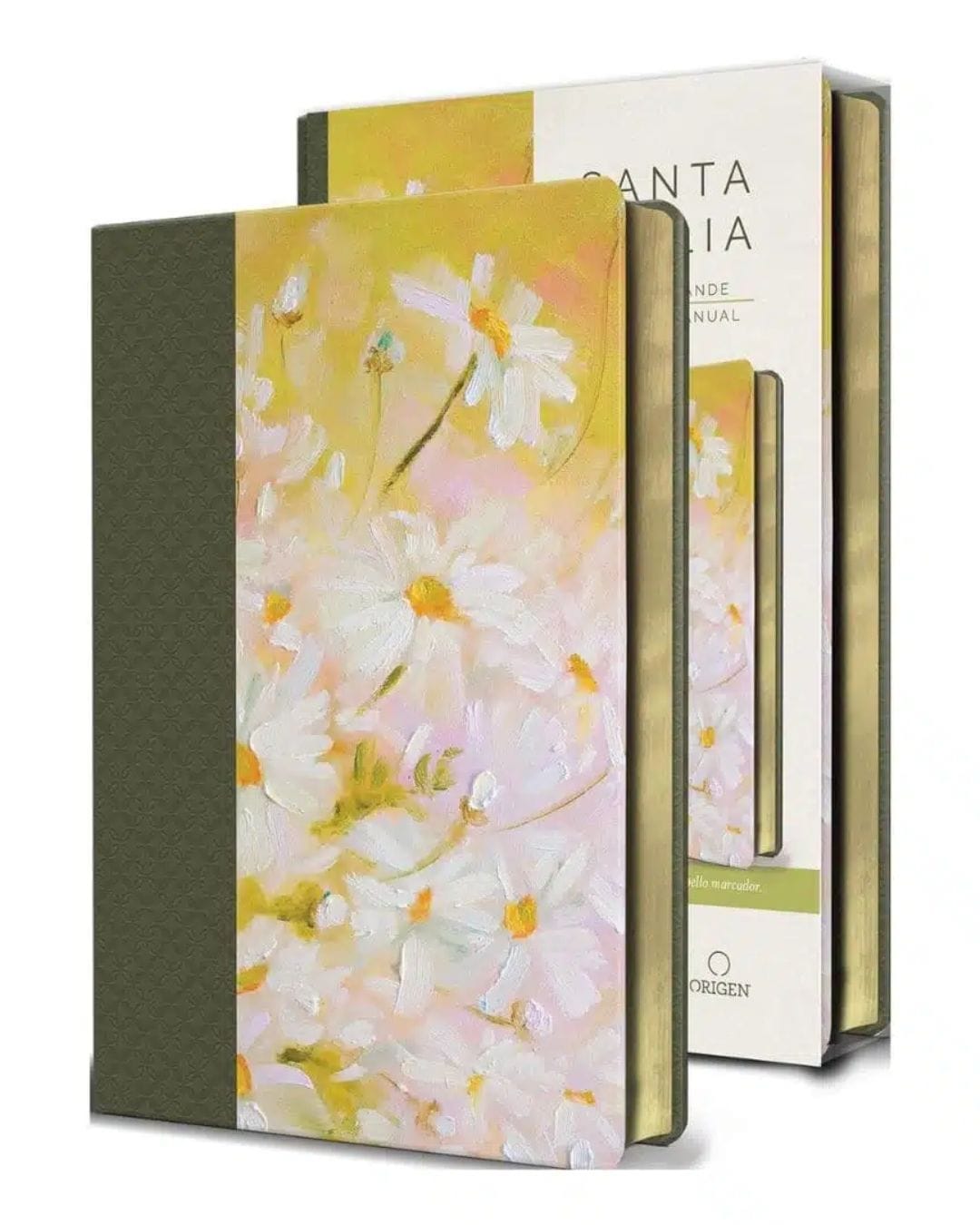 Biblia Reina Valera 1960, Letra Grande, Imitación piel, Manual