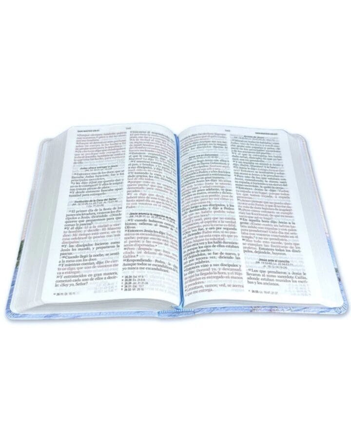 Biblia Reina Valera 1960, Letra Grande, Símil Piel, Manual - Imagen 3