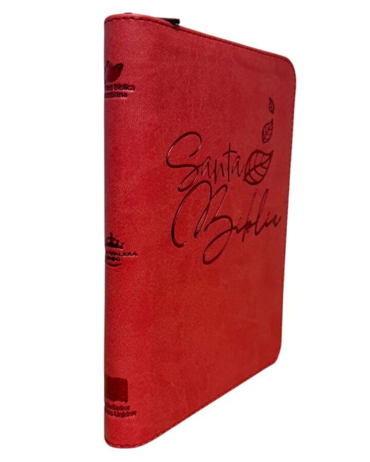 Biblia Reina Valera 1960, Letra Grande, Símil Piel, Manual, con Cierre - Imagen 2