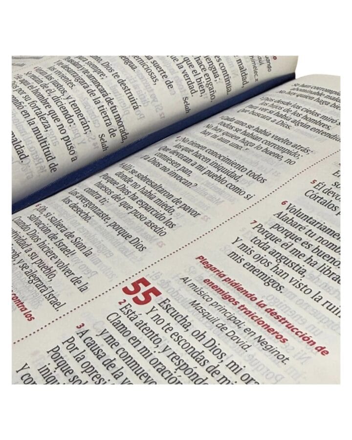 Biblia Reina Valera 1960, Letra Grande, Símil Piel, Manual, con Cierre - Imagen 5