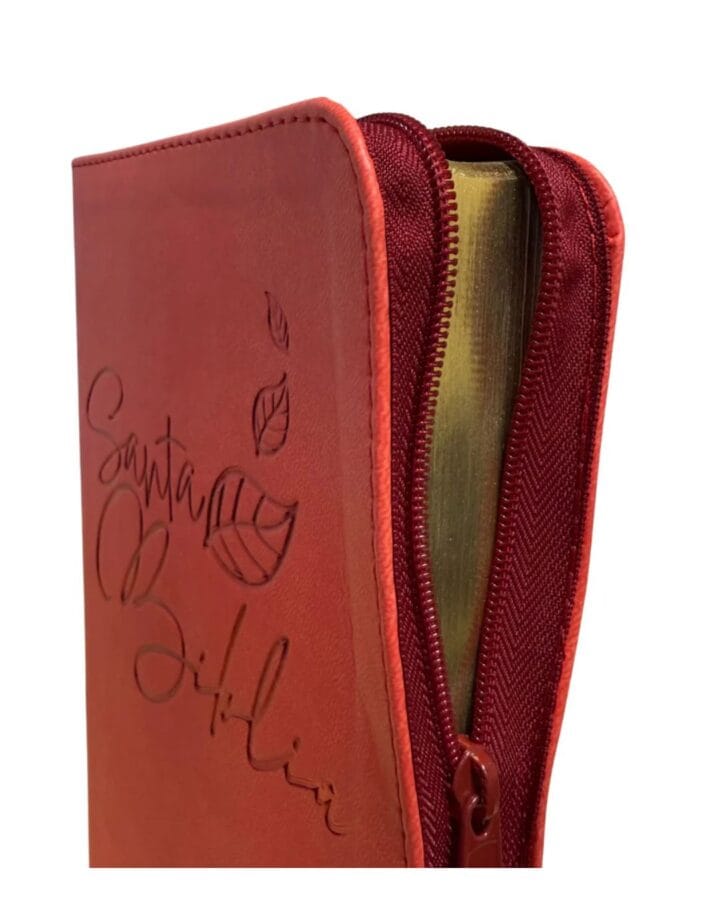 Biblia Reina Valera 1960, Letra Grande, Símil Piel, Manual, con Cierre - Imagen 4