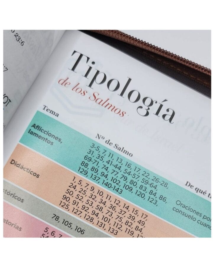 Biblia Reina Valera 1960, Letra Grande, Símil Piel, Manual, con Cierre e Índice - Imagen 4