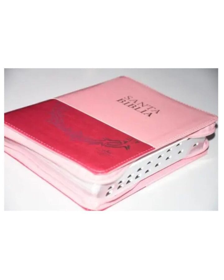 Biblia Reina Valera 1960, Letra Grande, Símil Piel, Manual, con Cierre e Índice - Imagen 2