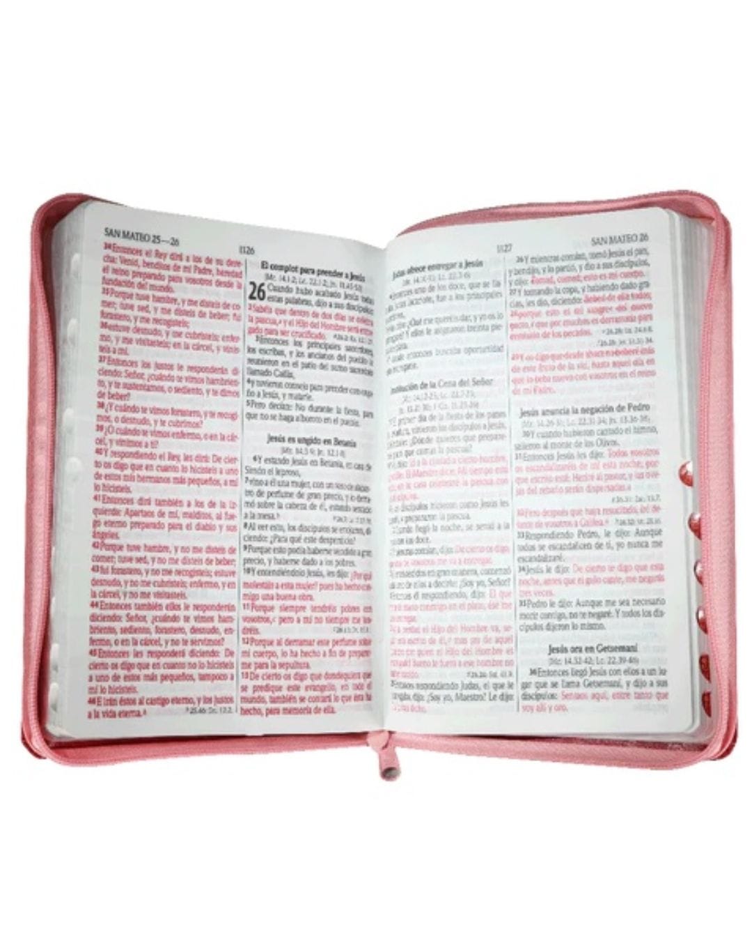 Biblia Reina Valera 1960, Letra Grande, Símil Piel, Manual, con Cierre e Índice - Imagen 3