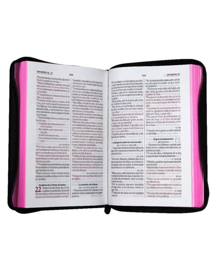 Biblia Reina Valera 1960, Letra Grande, Símil Piel, Manual, con Cierre - Imagen 4