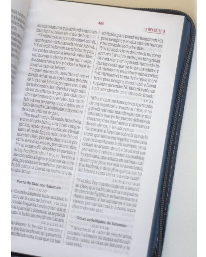 Biblia Reina Valera 1960, Letra Grande, Símil Piel, Manual, con Cierre - Imagen 4