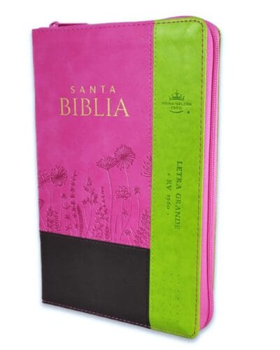 Biblia Reina Valera 1960, Letra Grande, Símil Piel, Manual con Índice